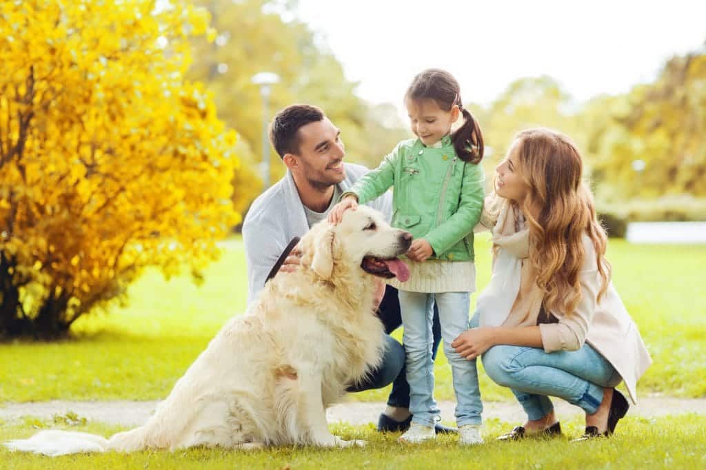 Top 10 Family Pets That Are Perfect for Kids